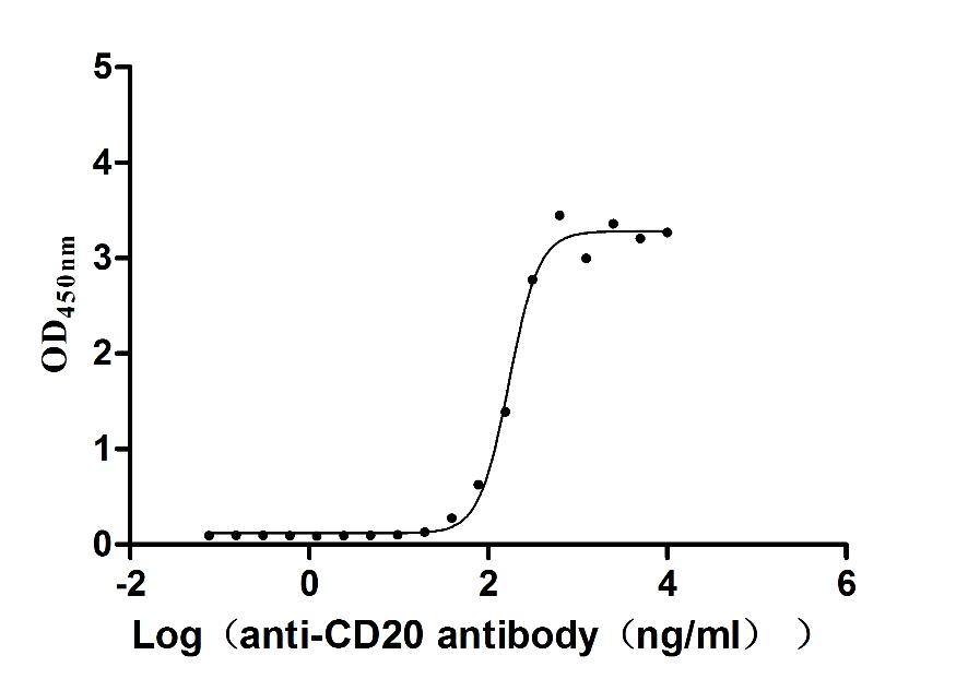 The Binding Activity of Dog MS4A1 with Anti-MS4A1 recombinant antibody; Activity: Measured by its binding ability in a functional ELISA. Immobilized Dog MS4A1 at 10 ug/ml can bind Anti-MS4A1 recombinant antibody, the EC50 is 147.3-199.0 ng/ml.