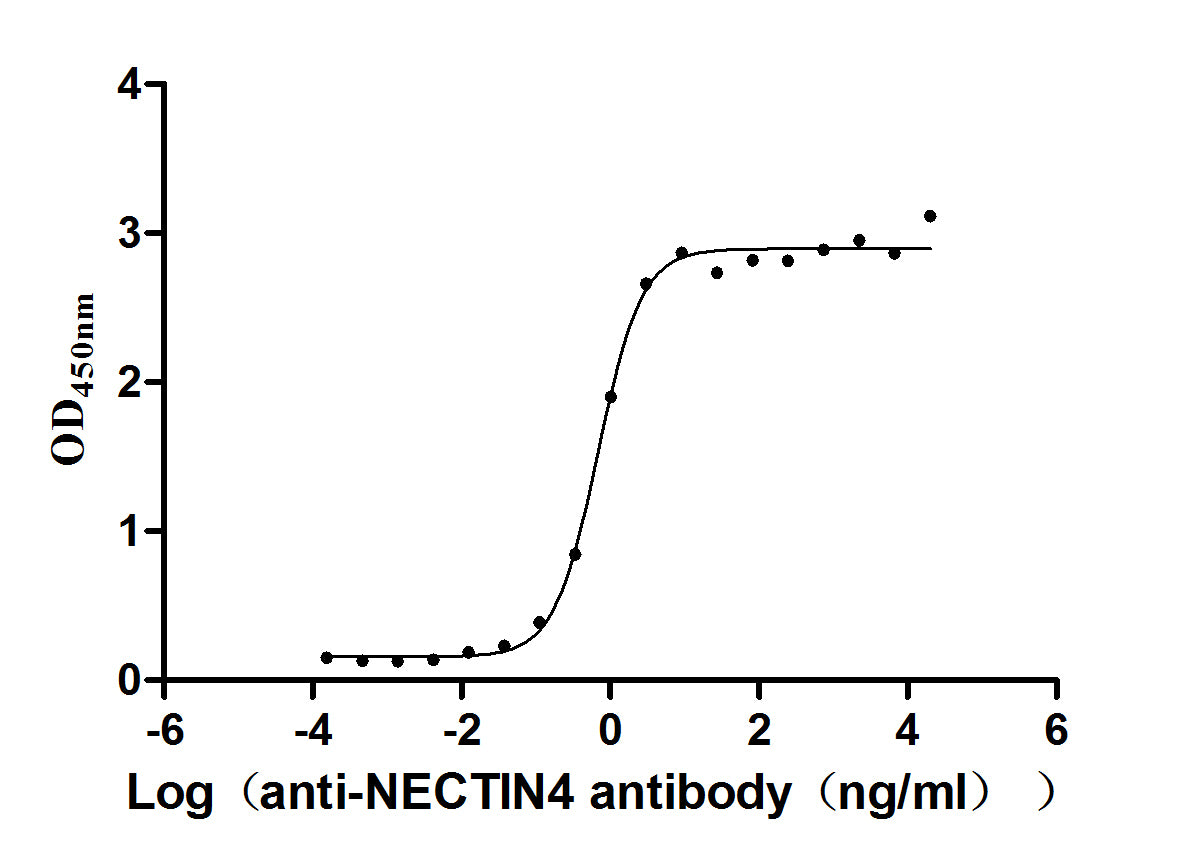 The Binding Activity of NECTIN4 with Anti-NECTIN4 recombinant antibody; Activity: Measured by its binding ability in a functional ELISA. Immobilized Human NECTIN4 at 2 ug/ml can bind Anti-NECTIN4 recombinant antibody, the EC50 is 0.6029-0.7837 ng/ml.