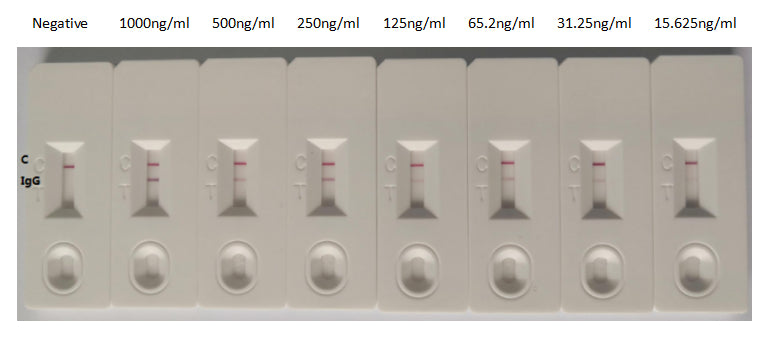 In the Colloidal Gold Immunochromatography Assay detection system, the background of antibody (RAC07910) is clean, the detection limit can be as low as 15.625ng/ml (1.09ng/0.07ml), and the sensitivity is very good.