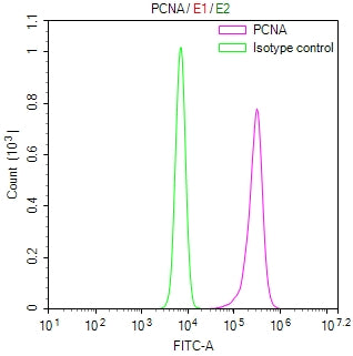 Overlay Peak curve showing JK cells stained with RAC07913 (red line) at 1:300. Then 10% normal goat serum was Incubated to block non-specific protein-protein interactions followed by the antibody (1ug/1*106cells) for 45 min at 4Â°C. The secondary antibody used was FITC-conjugated Goat Anti-Mouse IgG(H+L) at 1/200 dilution for 35 min at 4Â°C. Isotype control antibody (green line) was mouse IgG1 (1ug/1*106cells) used under the same conditions. Acquisition of >10, 000 events was performed.