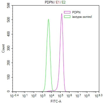 Overlay Peak curve showing 293 cells stained with RAC07915 (red line) at 1:100. Then 10% normal goat serum was Incubated to block non-specific protein-protein interactions followed by the antibody (1ug/1*106cells) for 45 min at 4Â°C. The secondary antibody used was FITC-conjugated Goat Anti-Mouse IgG(H+L) at 1/200 dilution for 35 min at 4Â°C. Isotype control antibody (green line) was mouse IgG1 (1ug/1*106cells) used under the same conditions. Acquisition of >10,026 events was performed.