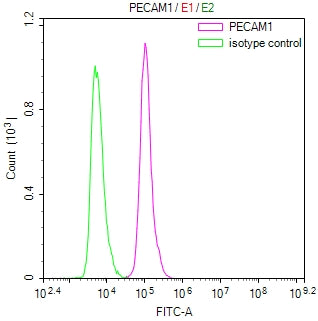 Overlay Peak curve showing THP-1 cells stained with RAC07916 (red line) at 1:100. Then 10% normal goat serum was Incubated to block non-specific protein-protein interactions followed by the antibody (1ug/1*106cells) for 45 min at 4Â°C. The secondary antibody used was FITC-conjugated Goat Anti-Mouse IgG(H+L) at 1/200 dilution for 35 min at 4Â°C. Isotype control antibody (green line) was mouse IgG1 (1ug/1*106cells) used under the same conditions. Acquisition of >10,000 events was performed.