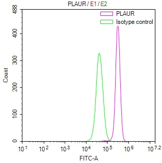 Overlay Peak curve showing Hela cells stained with RAC07917 (red line) at 1:100. Then 10% normal goat serum was Incubated to block non-specific protein-protein interactions followed by the antibody (1ug/1*106cells) for 45 min at 4Â°C. The secondary antibody used was FITC-conjugated Goat Anti-Mouse IgG(H+L) at 1/200 dilution for 35 min at 4Â°C. Isotype control antibody (green line) was mouse IgG1 (1ug/1*106cells) used under the same conditions. Acquisition of >10,026 events was performed.