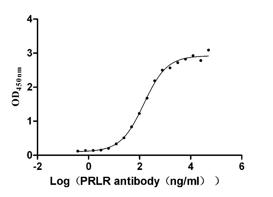 The Binding Activity of Human PRLR with Anti-PRLR recombinant antibody; Activity: Measured by its binding ability in a functional ELISA. Immobilized Human PRLR at 2 ug/ml can bind Anti-PRLR recombinant antibody, the EC50 is 126.8-171.9 ng/ml.