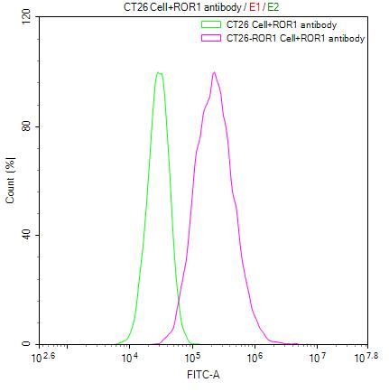 Untransfected CT26 cells (green line) and transfected Human ROR1 CT26 stable cells (red line) were stained with anti-ROR1 antibody (2ug/1*106cells), washed and then followed by FITC-conjugated anti-Human IgG Fc antibody and analyzed with flow cytometry.
