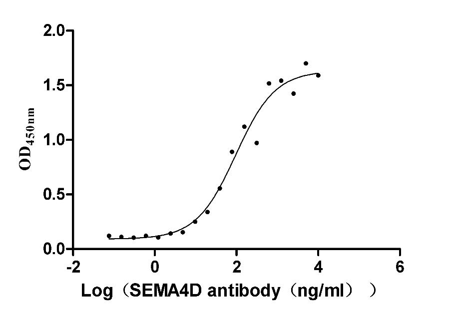 The Binding Activity of Human SEMA4D with Anti-SEMA4D recombinant antibody; Activity: Measured by its binding ability in a functional ELISA. Immobilized Human SEMA4D at 2 ug/ml can bind Anti- SEMA4D recombinant antibody, the EC50 is 60.38-152.6 ng/ml.