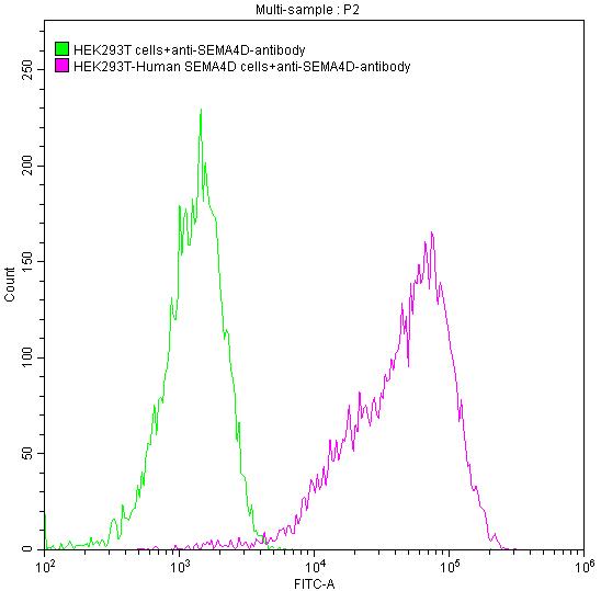 Untransfected HEK293T cells (green line) and transfected Human SEMA4D HEK293T stable cells (red line) were stained with anti-SEMA4D antibody (2ug/1*106cells), washed and then followed by FITC-conjugated anti-Human IgG Fc antibody and analyzed with flow cytometry.
