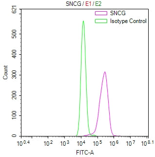 Overlay Peak curve showing Hela cells stained with RAC07930 (red line) at 1:100. Then 10% normal goat serum was Incubated to block non-specific protein-protein interactions followed by the antibody (1ug/1*106cells) for 45 min at 4Â°C. The secondary antibody used was FITC-conjugated Goat Anti-Mouse IgG(H+L) at 1/200 dilution for 35 min at 4Â°C. Isotype control antibody (green line) was mouse IgG1 (1ug/1*106cells) used under the same conditions. Acquisition of >10,019 events was performed.