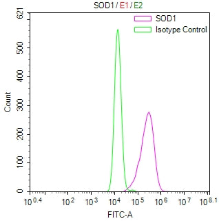 Overlay Peak curve showing Hela cells stained with RAC07932 (red line) at 1:50. Then 10% normal goat serum was Incubated to block non-specific protein-protein interactions followed by the antibody (1ug/1*106cells) for 45 min at 4Â°C. The secondary antibody used was FITC-conjugated Goat Anti-Mouse IgG(H+L) at 1/200 dilution for 35 min at 4Â°C. Isotype control antibody (green line) was mouse IgG1 (1ug/1*106cells) used under the same conditions. Acquisition of >10,024 events was performed.