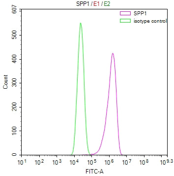 Overlay Peak curve showing A549 cells stained with RAC07933 (red line) at 1:100. Then 10% normal goat serum was Incubated to block non-specific protein-protein interactions followed by the antibody (1ug/1*106cells) for 45 min at 4Â°C. The secondary antibody used was FITC-conjugated Goat Anti-Mouse IgG(H+L) at 1/200 dilution for 35 min at 4Â°C. Isotype control antibody (green line) was mouse IgG1 (1ug/1*106cells) used under the same conditions. Acquisition of >10, 000 events was performed.
