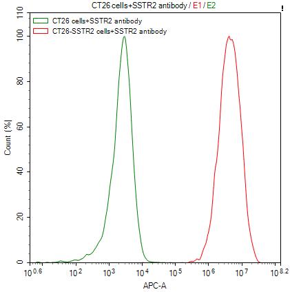 Untransfected CT26 cells (green line) and transfected Human SSTR2 CT26 stable cells (red line) were stained with anti-SSTR2 recombinant antibody (2ug/1*106cells), washed and then followed by APC-conjugated anti-Human IgG Fc antibody and analyzed with flow cytometry.