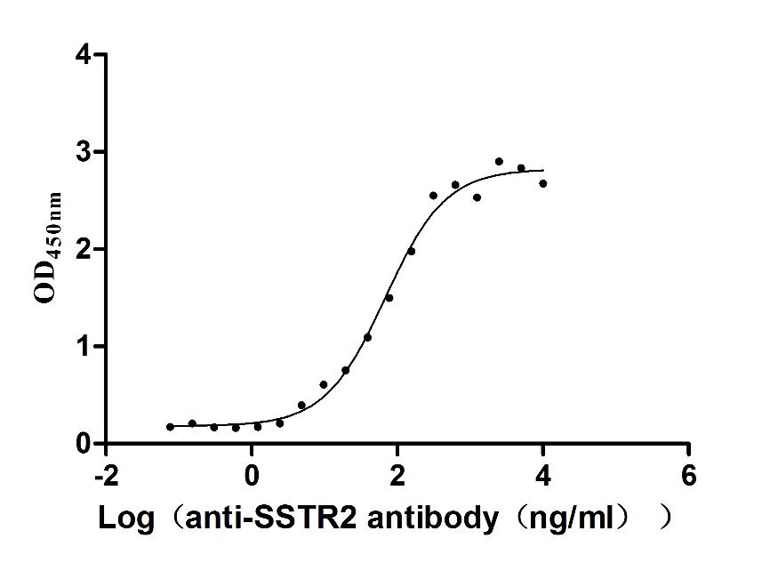 The Binding Activity of Huamn SSTR2 with Anti-SSTR2 recombinant Antibody; Activity: Measured by its binding ability in a functional ELISA. Immobilized Human SSTR2 at 10 ug/ml can bind Anti-SSTR2 recombinant antibody (RAC07934), the EC50 is 58.13-81.28 ng/ml.