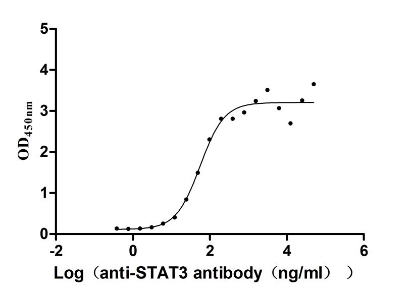 The Binding Activity of Human STAT3 with Anti-STAT3 Recombinant Antibody; Activity: Measured by its binding ability in a functional ELISA. Immobilized Human STAT3 at 2 ug/ml can bind Anti-STAT3 recombinant antibody , the EC50 is 41.31-75.59 ng/ml.