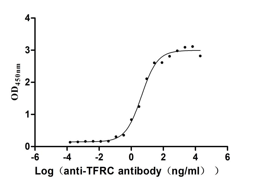 The Binding Activity of Human TFRC with Anti-TFRC Recombinant Antibody; Activity: Measured by its binding ability in a functional ELISA. Immobilized Human TFRC at 2 ug/ml can bind Anti-TFRC recombinant antibody , the EC50 is 3.305-8.220 ng/ml.