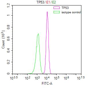Overlay Peak curve showing Hela cells stained with RAC07942 (red line) at 1:100. Then 10% normal goat serum was Incubated to block non-specific protein-protein interactions followed by the antibody (1ug/1*106cells) for 45 min at 4Â°C. The secondary antibody used was FITC-conjugated Goat Anti-rabbit IgG(H+L) at 1/200 dilution for 35 min at 4Â°C. Isotype control antibody (green line) was mouse IgG1 (1ug/1*106cells) used under the same conditions. Acquisition of >10,000 events was performed.