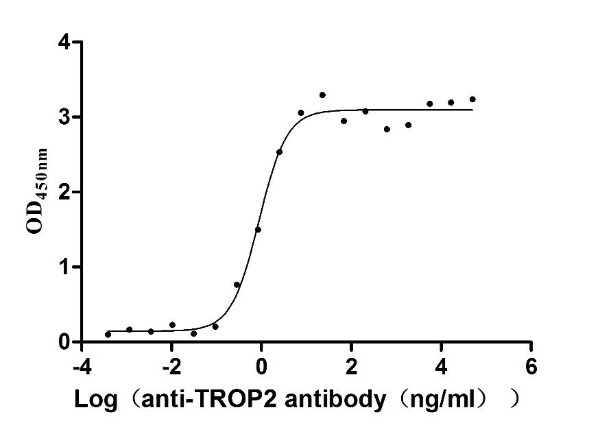 The Binding Activity of Huamn TROP2 with Anti-TROP2 recombinant Antibody; Activity: Measured by its binding ability in a functional ELISA. Immobilized Human TROP2 at 2 ug/ml can bind Anti-TROP2 recombinant antibody, the EC50 is 0.7284-1.075 ng/ml.