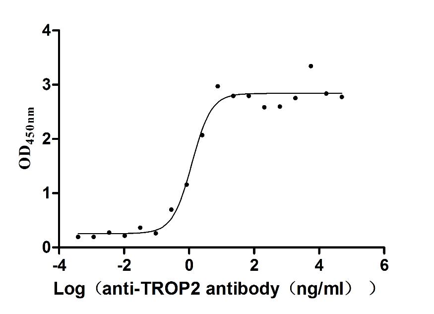 The Binding Activity of Huamn TROP2 with Anti-TROP2 recombinant Antibody; Activity: Measured by its binding ability in a functional ELISA. Immobilized Human TROP2 at 2 ug/ml can bind Anti-TROP2 recombinant antibody, the EC50 is 0.9108-1.640 ng/ml.