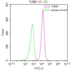 Overlay Peak curve showing NIH/3T3 cells stained with RAC07946 (red line) at 1:200. Then 10% normal goat serum was Incubated to block non-specific protein-protein interactions followed by the antibody (1ug/1*106cells) for 45 min at 4Â°C. The secondary antibody used was FITC-conjugated Goat Anti-Mouse IgG(H+L) at 1/200 dilution for 35 min at 4Â°C. Isotype control antibody (green line) was mouse IgG1 (1ug/1*106cells) used under the same conditions. Acquisition of >10,000 events was performed.