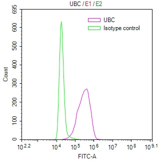 Overlay Peak curve showing MCF7 cells stained with RAC07947 (red line) at 1:50. Then 10% normal goat serum was Incubated to block non-specific protein-protein interactions followed by the antibody (1ug/1*106cells) for 45 min at 4Â°C. The secondary antibody used was FITC-conjugated Goat Anti-Mouse IgG(H+L) at 1/200 dilution for 35 min at 4Â°C. Isotype control antibody (green line) was mouse IgG1 (1ug/1*106cells) used under the same conditions. Acquisition of >10, 022 events was performed.