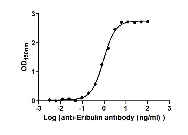 The Binding Activity of Farletuzumab ecteribulin (Synonyms: MORAb-202) with Anti-Eribulin antibody Activity: Measured by its binding ability in a functional ELISA. Immobilized Farletuzumab ecteribulin (Synonyms: MORAb-202) at 2 ug/mL can bind Anti-Eribulin antibody, the EC 50 is 0.8548 to 1.015 ng/mL.
