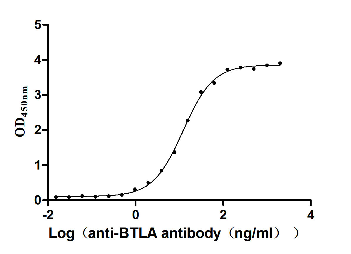 The Binding Activity of Human BTLA with Anti-BTLA Recombinant antibody Activity: Measured by its binding ability in a functional ELISA. Immobilized Human BTLA at 2 ug/mL can bind Anti-BTLA recombinant antibody , the EC 50 is 11.56-13.00 ng/mL.