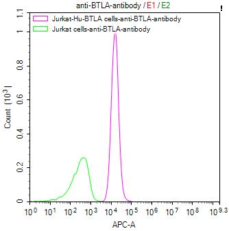 Untransfected Jurkat cells (green line) and transfected Human BTLA Jurkat stable cells (red line) were stained with anti-BTLA antibody (2ug/1*10 6 cells), washed and then followed by APC-conjugated anti-Human IgG Fc antibody and analyzed with flow cytometry.