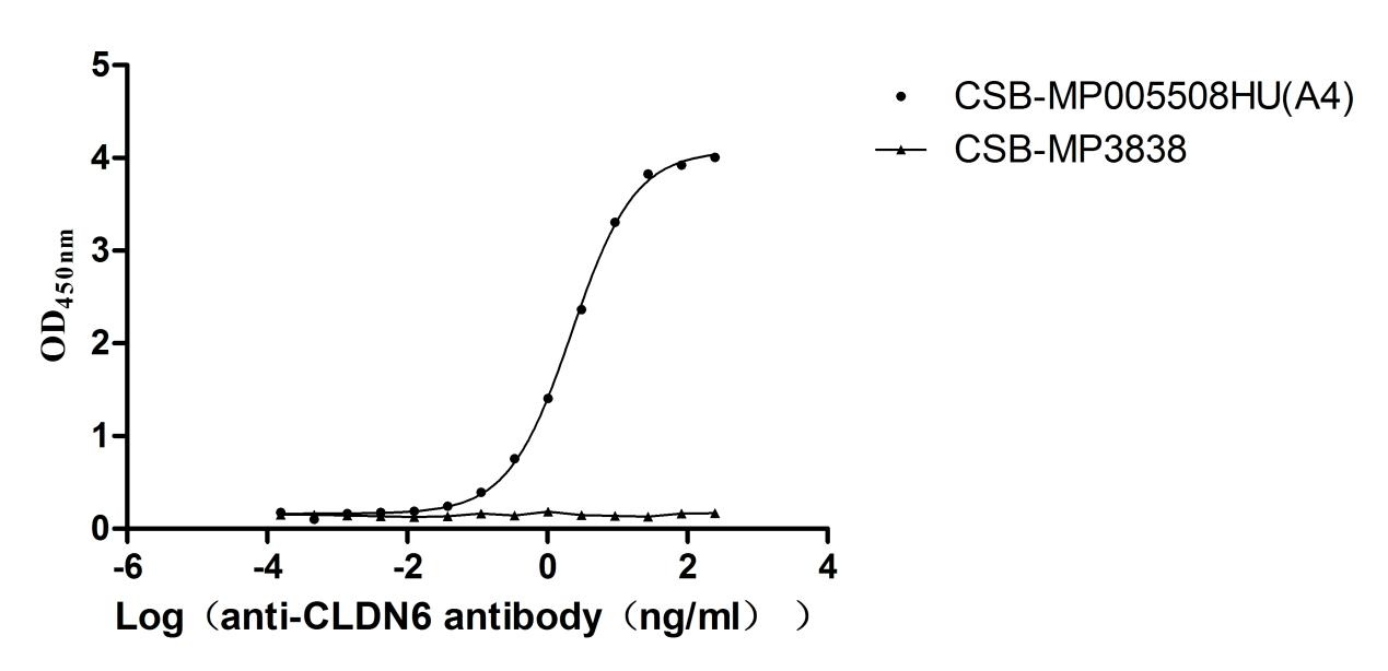 The Binding Activity of Human CLDN6 with Anti-CLDN6 recombinant antibody Activity: Measured by its binding ability in a functional ELISA. Immobilized Human CLDN6) at 10 ug/mL can bind Anti-CLDN6 recombinant antibody. The EC 50 is 2.033-2.415 ng/mL. The VLPs is negative control.