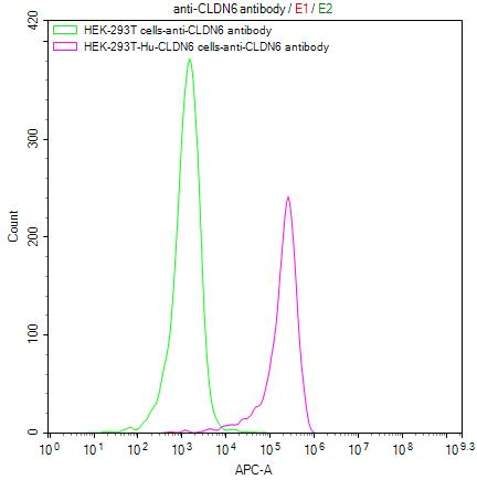 Untransfected HEK-293T cells (green line) and transfected Human CLDN6 HEK-293T stable cells (red line) were stained with anti-CLDN6 antibody (2ug/1*10 6 cells), washed and then followed by APC-conjugated anti-Human IgG Fc antibody and analyzed with flow cytometry.