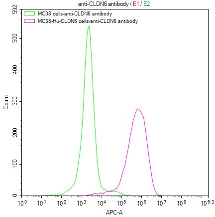 Untransfected MC38 cells (green line) and transfected Human CLDN6 MC38 stable cells (red line) were stained with anti-CLDN6 antibody (2ug/1*10 6 cells), washed and then followed by APC-conjugated anti-Human IgG Fc antibody and analyzed with flow cytometry.