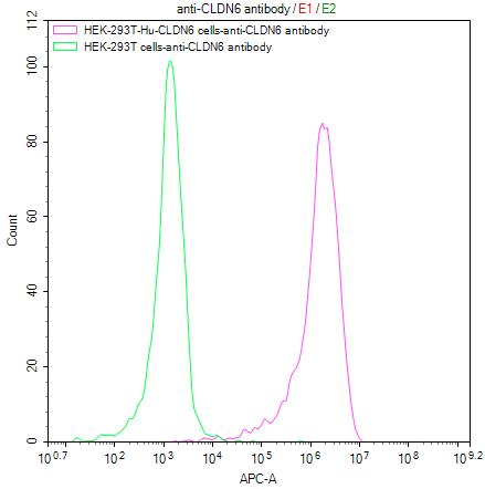 Untransfected HEK-293T cells (green line) and transfected Human CLDN6 HEK-293T stable cells (red line) were stained with anti-CLDN6 antibody (RAC07964) (2ug/1*10 6 cells), washed and then followed by APC-conjugated anti-Mouse IgG Fc antibody and analyzed with flow cytometry.