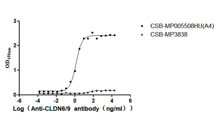 The Binding Activity of Human CLDN6 with Anti-CLDN6-9 recombinant antibody Activity: Measured by its binding ability in a functional ELISA. Immobilized Human CLDN6 at 10 ug/mL can bind Anti-CLDN6-9 recombinant antibody. The EC 50 is 1.189-1.618 ng/mL. The VLPs is negative control.