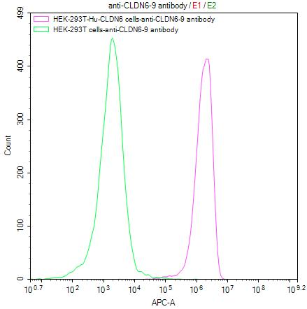 Untransfected HEK-293T cells (green line) and transfected Human CLDN6 HEK-293T stable cells (red line) were stained with anti-CLDN6/9 antibody(RAC07965) (2ug/1*10 6 cells), washed and then followed by APC-conjugated anti-Mouse IgG Fc antibody and analyzed with flow cytometry.