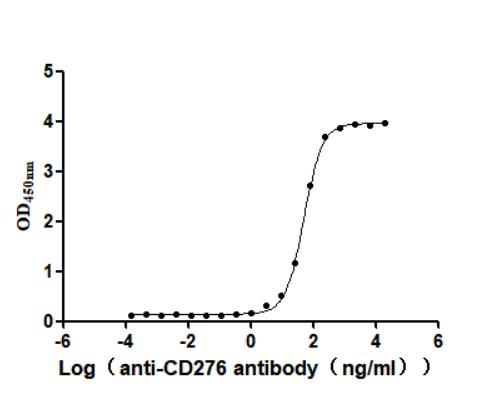 The Binding Activity of Human CD276 with Anti-CD276 recombinant antibody Activity: Measured by its binding ability in a functional ELISA. Immobilized human CD276 at 2 ug/mL can bind Anti-CD276 recombinant antibody. The EC 50 is 47.12-54.16 ng/mL.