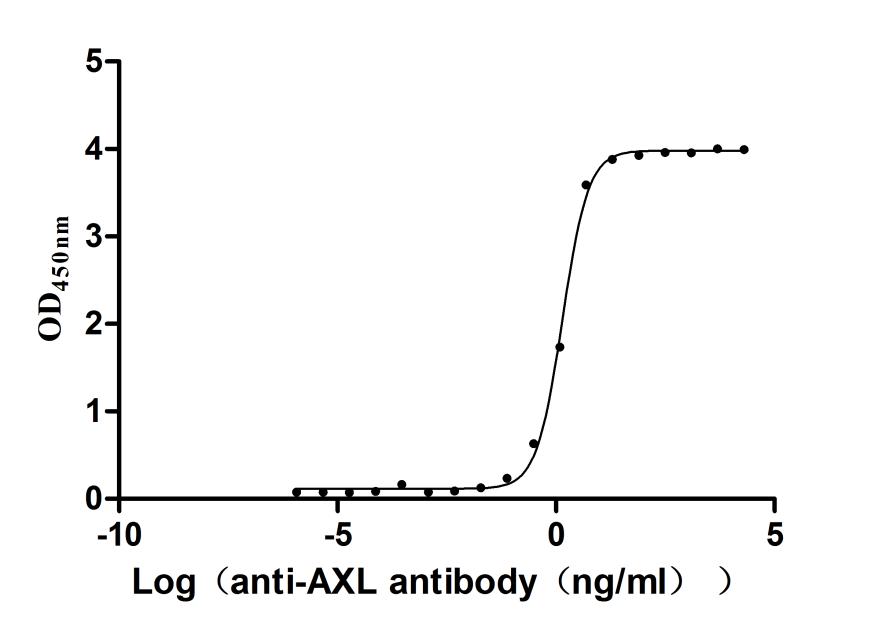 The Binding Activity of Human AXL with Anti-AXL recombinant antibody Activity: Measured by its binding ability in a functional ELISA. Immobilized human AXL at 2 ug/mL can bind Anti-AXL recombinant antibody. The EC 50 is 1.308-1.500 ng/mL.