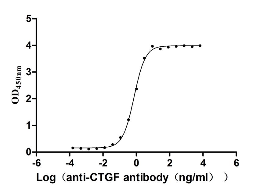 The Binding Activity of Rhesus macaque CTGF with Anti-CTGF Recombinant antibody Activity: Measured by its binding ability in a functional ELISA. Immobilized Rhesus macaque CTGF at 1 ug/mL can bind Anti-CTGF recombinant antibody. The EC 50 is 0.6886-0.7825 ng/mL.