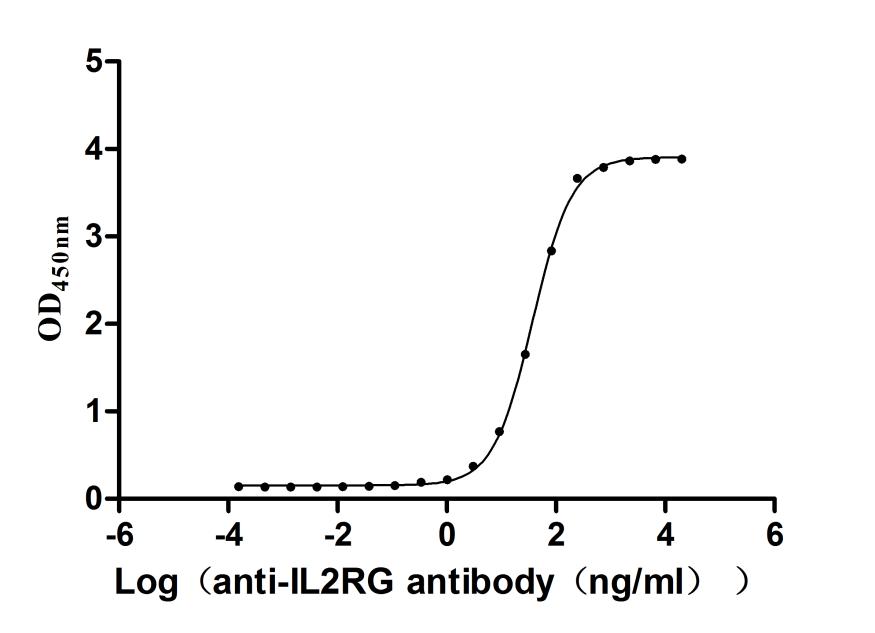 The Binding Activity of Rhesus macaque IL2RG with Anti-IL2RG recombinant antibody Activity: Measured by its binding ability in a functional ELISA. Immobilized Rhesus macaque IL2RG at 2 ug/mL can bind Anti-IL2RG recombinant antibody. The EC 50 is 33.73-41.04 ng/mL.