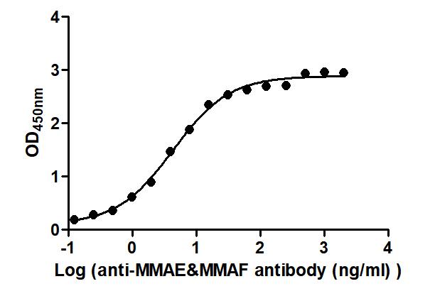 The Binding Activity of Disitamab vedotin (Synonyms: RC48) with Anti-MMAE & MMAF antibody Activity: Measured by its binding ability in a functional ELISA. Immobilized Disitamab vedotin (Synonyms: RC48) at 2 ug/mL can bind Anti-MMAE & MMAF antibody, the EC 50 is 3.523 to 5.356 ng/mL.