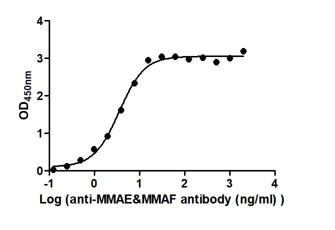 The Binding Activity of Depatuxizumab mafodotin (Synonyms: ABT-414) with Anti-MMAE & MMAF antibody Activity: Measured by its binding ability in a functional ELISA. Immobilized Depatuxizumab mafodotin (Synonyms: ABT-414) at 2 ug/mL can bind Anti-MMAE & MMAF antibody, the EC 50 is 3.022 to 4.198 ng/mL.