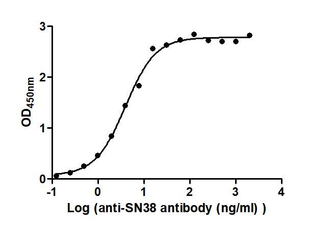 The Binding Activity of Labetuzumab govitecan (Synonyms: IMMU 130; hMN-14-SN-38) with Anti-SN38 antibody Activity: Measured by its binding ability in a functional ELISA. Immobilized Labetuzumab govitecan (Synonyms: IMMU 130; hMN-14-SN-38) at 2 ug/mL can bind Anti-SN38 antibody, the EC 50 is 3.326 to 4.721 ng/mL.
