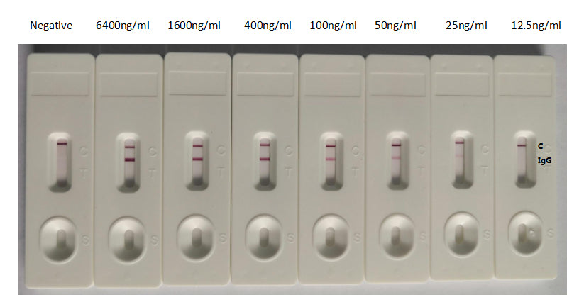In the Colloidal Gold Immunochromatography Assay detection system, the background of antibody is clean, the detection limit can be as low as 25ng/ml (1.75ng/0.07ml), and the sensitivity is very good.