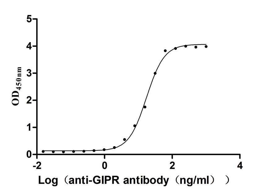 The Binding Activity of Human GIPR with Anti-GIPR recombinant antibody. Activity: Measured by its binding ability in a functional ELISA. Immobilized Human GIPR at 2 Î¼g/mL can bind Anti-GIPR recombinant antibody. The EC50 is 16.18-18.70 ng/mL.