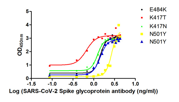 The Binding Activity of S protein with S Recombinant Antibody. Activity: Measured by its binding ability in a functional ELISA. Immobilized S at 2 Î¼g/ml can bind S Recombinant Antibody, the EC50 of S Recombinant Antibody.