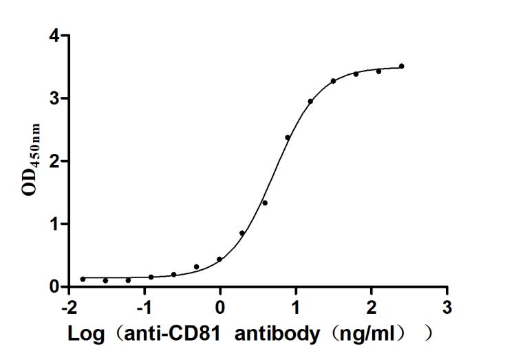 The Binding Activity of Human CD81 with Anti-CD81 recombinant antibody. Activity: Measured by its binding ability in a functional ELISA. Immobilized Human CD81 at 2 Î¼g/mL can bind Anti-CD81 recombinant antibody. the EC50 is 4.166-5.578 ng/mL.