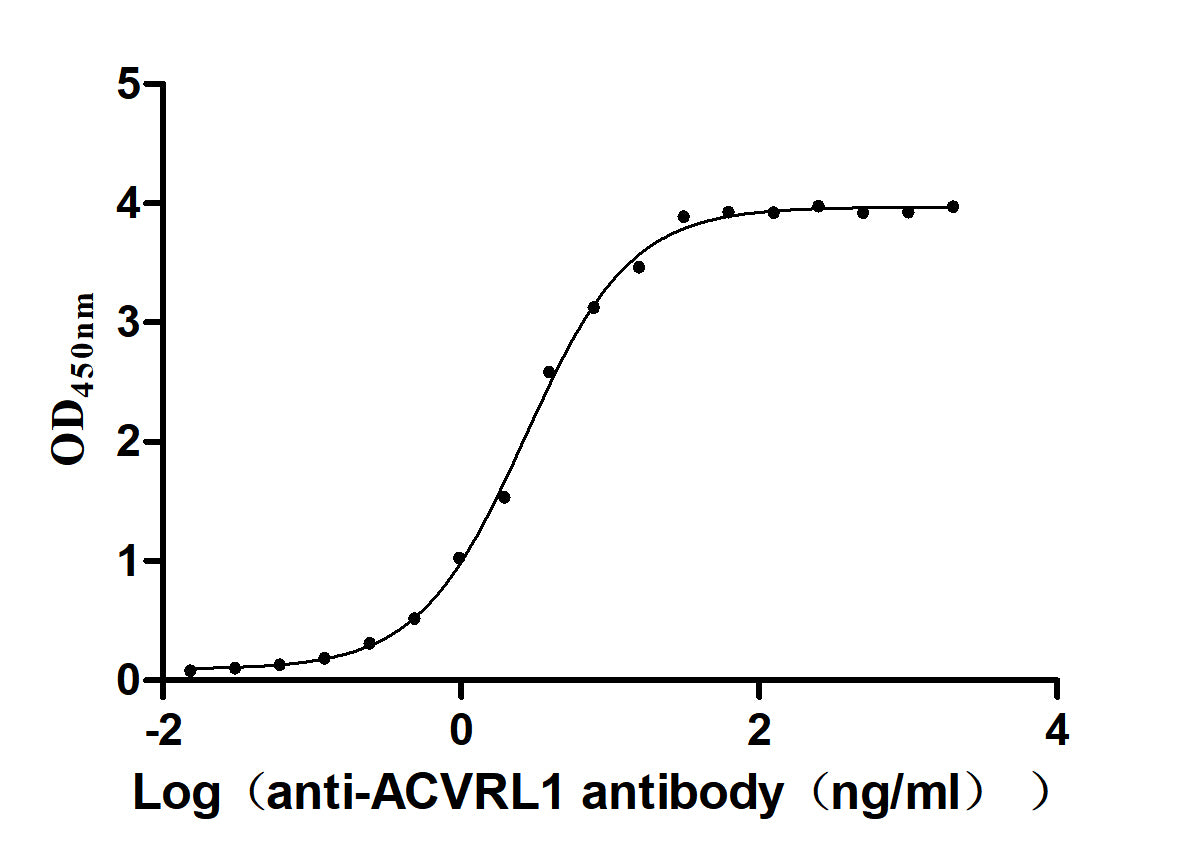 The Binding Activity of Human ACVRL1 with Anti-ACVRL1 recombinant antibody. Activity: Measured by its binding ability in a functional ELISA. Immobilized Human ACVRL1 at 2 Î¼g/mL can bind Anti-ACVRL1 recombinant antibody, the EC50 is 2.417-2.971ng/mL.