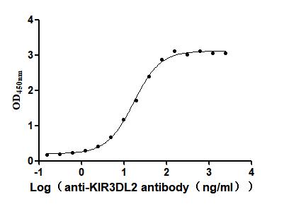 The Binding Activity of Human KIR3DL2 with Anti-KIR3DL2 Recombinant Antibody. Activity: Measured by its binding ability in a functional ELISA. Immobilized Human KIR3DL2 at 2 Î¼g/mL can bind Anti-KIR3DL2 recombinant antibody , the EC50 is 14.18-23.93 ng/mL.