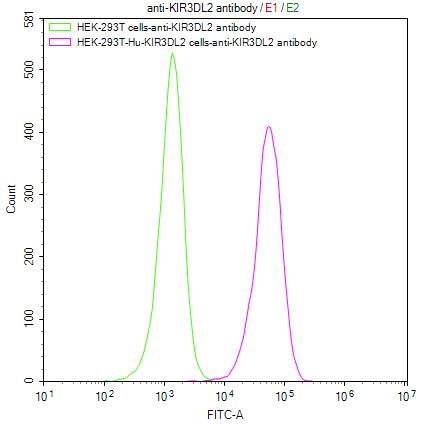 Untransfected HEK-293T cells (green line) and transfected Human KIR3DL2 HEK-293T stable cells (red line) were stained with anti-KIR3DL2 recombinant antibody (2Âµg/1*10 6 cells), washed and then followed by FITC-conjugated anti-Human IgG Fc antibody and analyzed with flow cytometry.