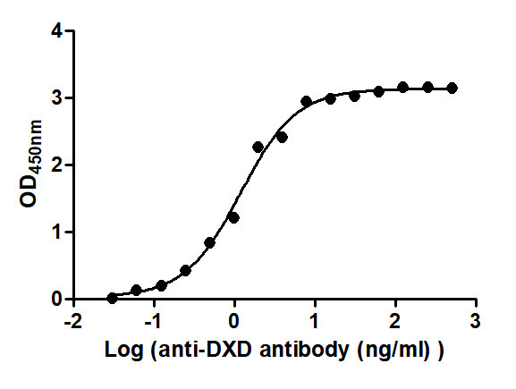 The Binding Activity of T-DXd(DS-8201) with Anti-DXD antibody. Activity: Measured by its binding ability in a functional ELISA. Immobilized T-DXd(DS-8201) at 2 Î¼g/mL can bind Anti-DXD antibody, the EC50 is 0.9828 to 1.446 ng/mL.