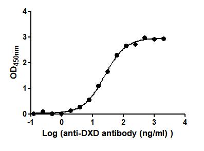 The Binding Activity of DXD-BSA with Anti-DXD antibody. Activity: Measured by its binding ability in a functional ELISA. Immobilized DXD-BSA at 2 Î¼g/mL can bind Anti-DXD antibody, the EC50 is 22.68 to 27.25 ng/mL.