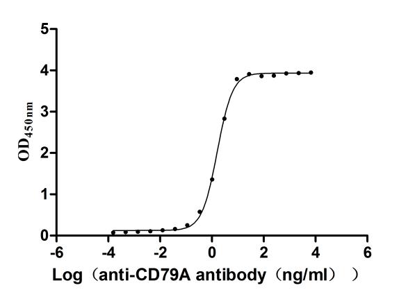 The Binding Activity of Human CD79A with Anti-CD79A recombinant antibody. Activity: Measured by its binding ability in a functional ELISA. Immobilized Human CD79A at 2 Î¼g/mL can bind Anti-CD79A recombinant antibody. The EC50 is 1.521-1.700 ng/mL.