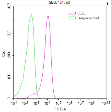 Overlay Peak curve showing Jurkat cells stained at 1:100. Then 10% normal goat serum to block non-specific protein-protein interactions followed by the antibody (1ug/1*10 6 cells) for 45min at 4Â°C. The secondary antibody used was FITC-conjugated Goat Anti-human IgG(H+L) at 1:200 dilution for 35min at 4Â°C.Control antibody (green line) was human IgG (1ug/1*10 6 cells) used under the same conditions. Acquisition of >10,000 events was performed.
